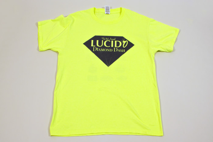 Lucidio Diamond Dash Logo